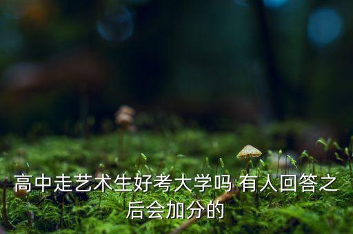 高中走艺术生好考大学吗 有人回答之后会加分的