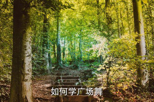 糖豆广场舞教学视频大全集，如何学广场舞