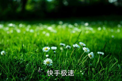 快手极速