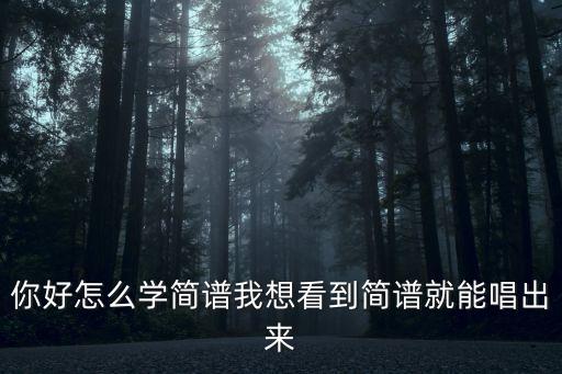 你好怎么学简谱我想看到简谱就能唱出来