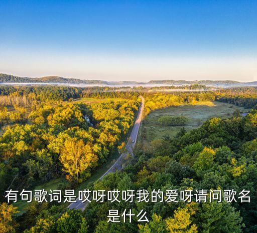 哎呀呀我的爱是什么歌，啊咿呀咿呀 我的爱情是什么歌