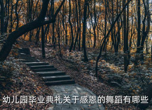 无敌小可爱幼儿舞蹈视频完整版，4岁宝宝舞蹈教学视频全集 高清全集
