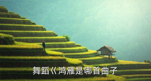 鸿雁是什么民族舞，2010年1月30号的那期快乐大本营中李念跳的舞属于那种舞蹈类型