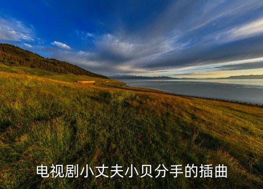 电视剧小丈夫小贝分手的插曲