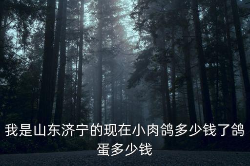 我是山东济宁的现在小肉鸽多少钱了鸽蛋多少钱