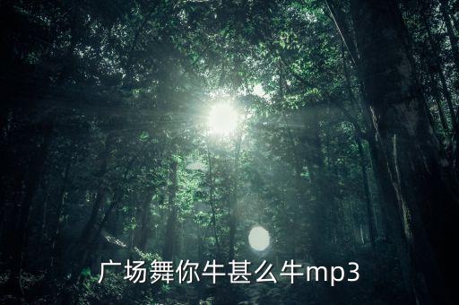 广场舞你牛甚么牛mp3