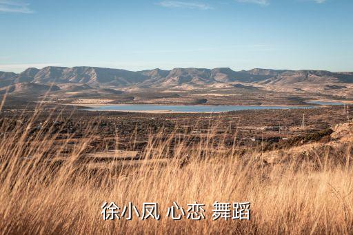 徐小凤 心恋 舞蹈