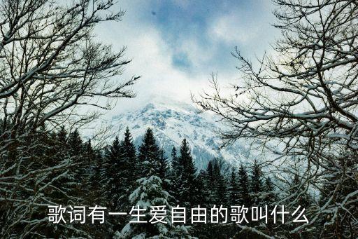 歌词有一生爱自由的歌叫什么