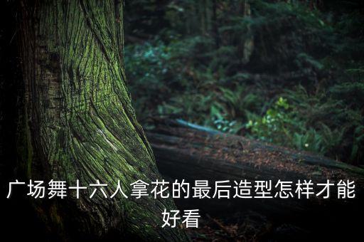 广场舞收尾造型怎么变，广场舞十六人拿花的最后造型怎样才能好看