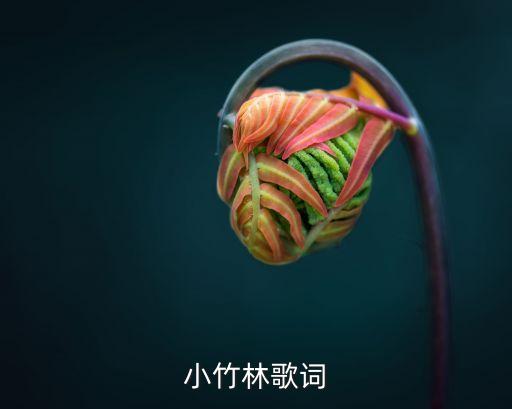 小竹林歌词