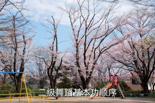 二级舞蹈基本功顺序