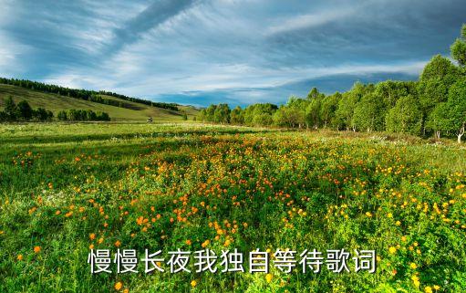 慢慢长夜我独自等待歌词