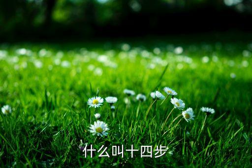 什么叫十四步