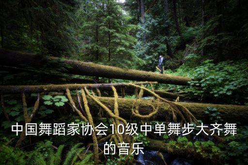 中国舞十级有哪些歌曲列表，中国舞等级考试教材第十级13傣族舞的音乐叫什么