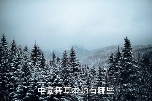中国舞基本功有哪些