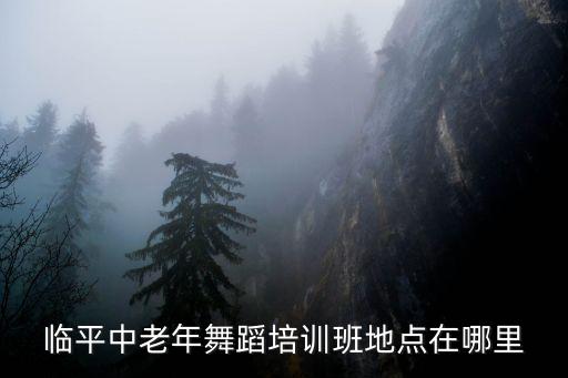 杭州中老年交谊舞培训班，中老年人跳舞的地方