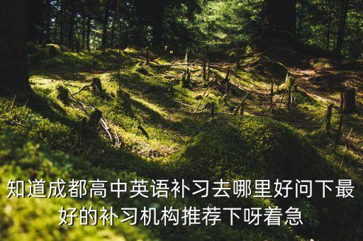 知道成都高中英语补习去哪里好问下最好的补习机构推荐下呀着急