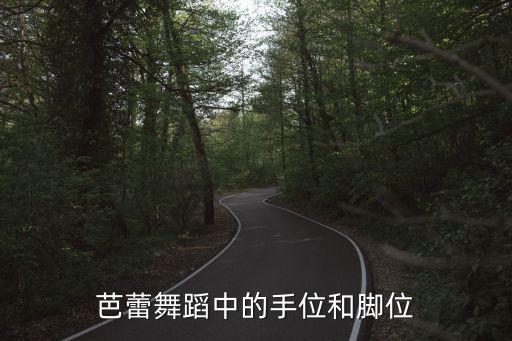 芭蕾舞蹈中的手位和脚位