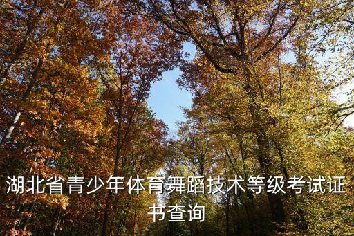 湖北省青少年体育舞蹈技术等级考试证书查询