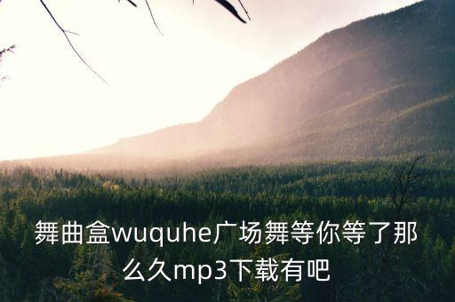舞曲盒wuquhe广场舞等你等了那么久mp3下载有吧
