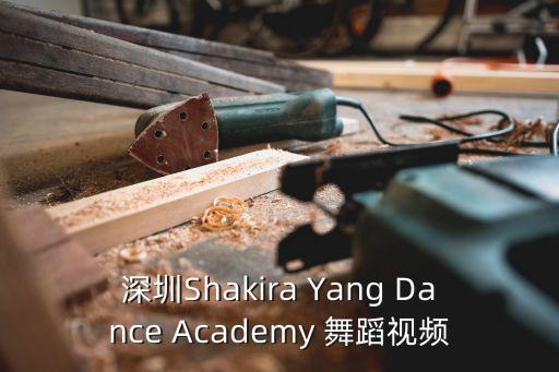 深圳Shakira Yang Dance Academy 舞蹈视频