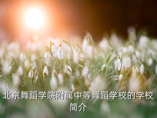 北京舞蹈学院附属中等舞蹈学校的学校简介