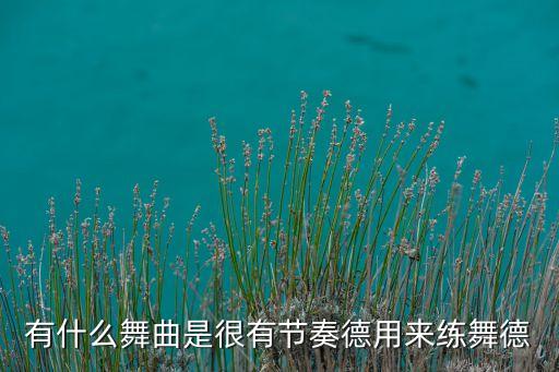 有舞蹈节奏的音乐是什么，有什么舞曲是很有节奏德用来练舞德