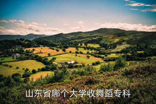山东舞蹈专业可以报考哪些院校，山东省哪个大学收舞蹈专科