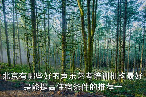 北京风华国韵艺考中心怎么样，谁知道风华国韵教育中心那里的老师教的怎么样有没有在那里学过钢