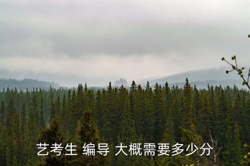 艺考生 编导 大概需要多少分