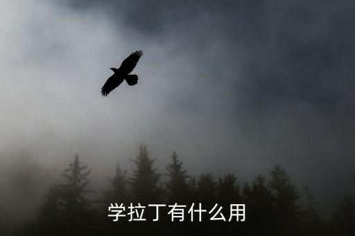 学拉丁有什么用