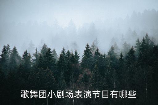 歌舞团演出，杭州歌舞团的演出节目