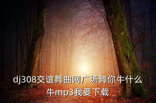 广场舞云裳广场舞你牛什么牛，广场舞你牛甚么牛mp3