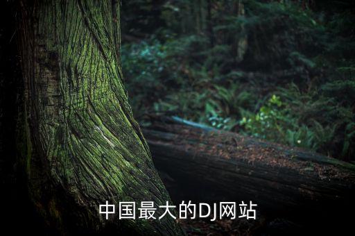 中国最大的DJ网站