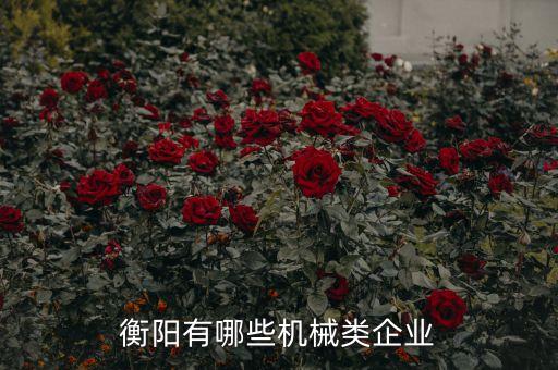 衡阳建湘是什么单位，衡阳 弘湘国有资产经营公司 好像名字是宏正国有资产管理公司谁知