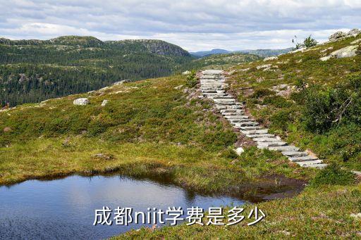 成都niit学费是多少