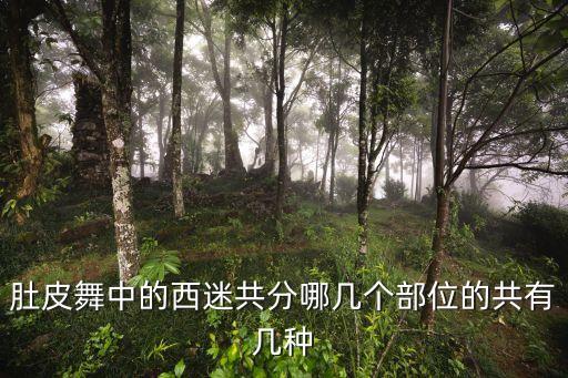 肚皮舞中的西迷共分哪几个部位的共有几种