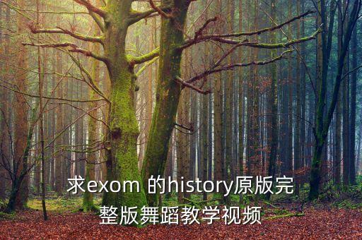 求exom 的history原版完整版舞蹈教学视频