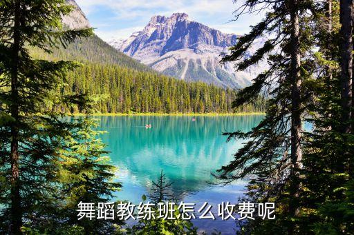 舞蹈教练班怎么收费呢