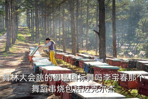 万疆舞蹈串烧，舞林大会跳的都是国标舞吗李宇春那个舞蹈串烧包括迈克尔杰