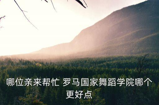 罗马国际舞蹈学院，哪位亲来帮忙 罗马国家舞蹈学院哪个更好点