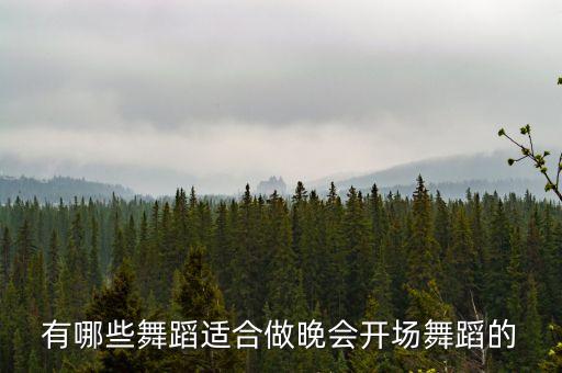 有哪些舞蹈适合做晚会开场舞蹈的