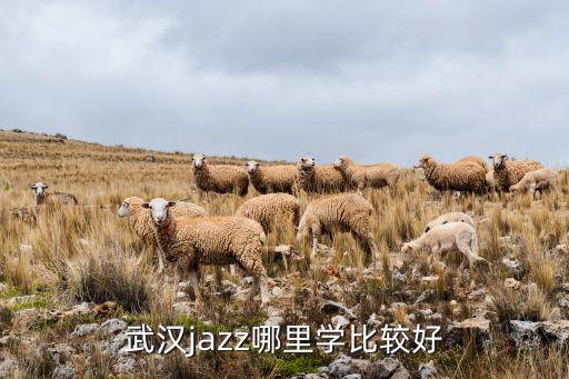 武汉jazz哪里学比较好