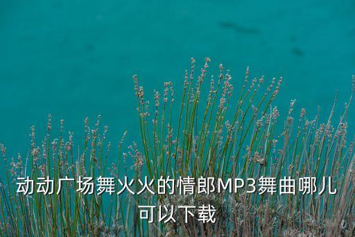 动动广场舞火火的情郎MP3舞曲哪儿可以下载