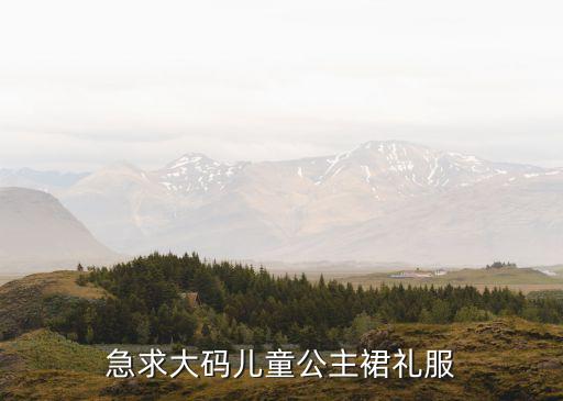 儿童晚礼服女装长款图片大全，急求大码儿童公主裙礼服