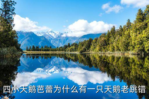 四小天鹅芭蕾为什么有一只天鹅老跳错