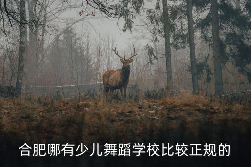 合肥哪有少儿舞蹈学校比较正规的