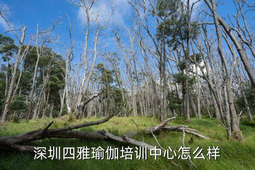 深圳四雅瑜伽培训中心怎么样