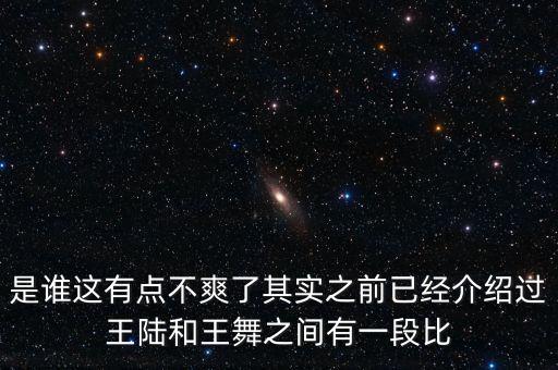 是谁这有点不爽了其实之前已经介绍过王陆和王舞之间有一段比