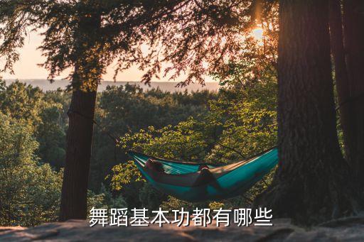 4 5岁幼儿中国舞舞蹈基本功，幼儿舞蹈基本功训练包括哪些
